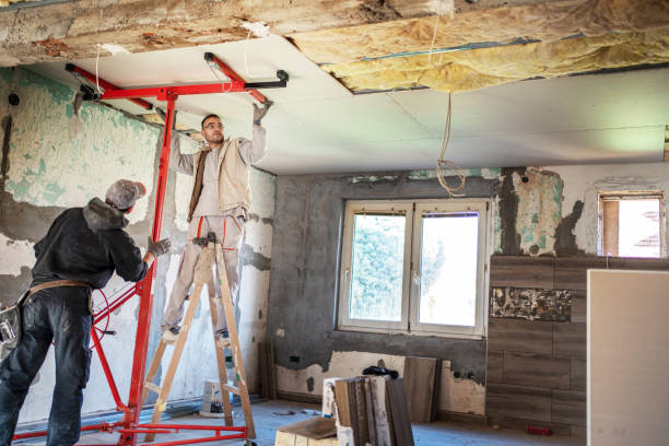 Best Eco-Friendly Insulation in Abingdon, IL